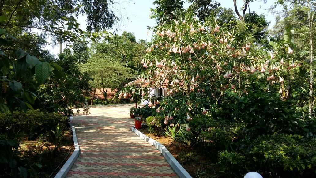 Leisure Vacations Whispering Woods Ξενοδοχείο Madikeri Εξωτερικό φωτογραφία