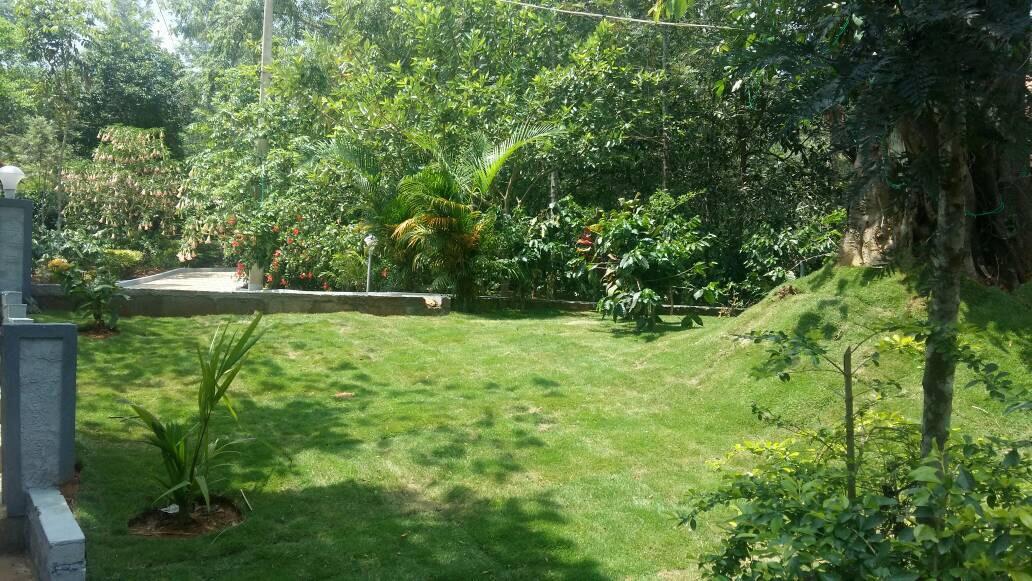 Leisure Vacations Whispering Woods Ξενοδοχείο Madikeri Εξωτερικό φωτογραφία
